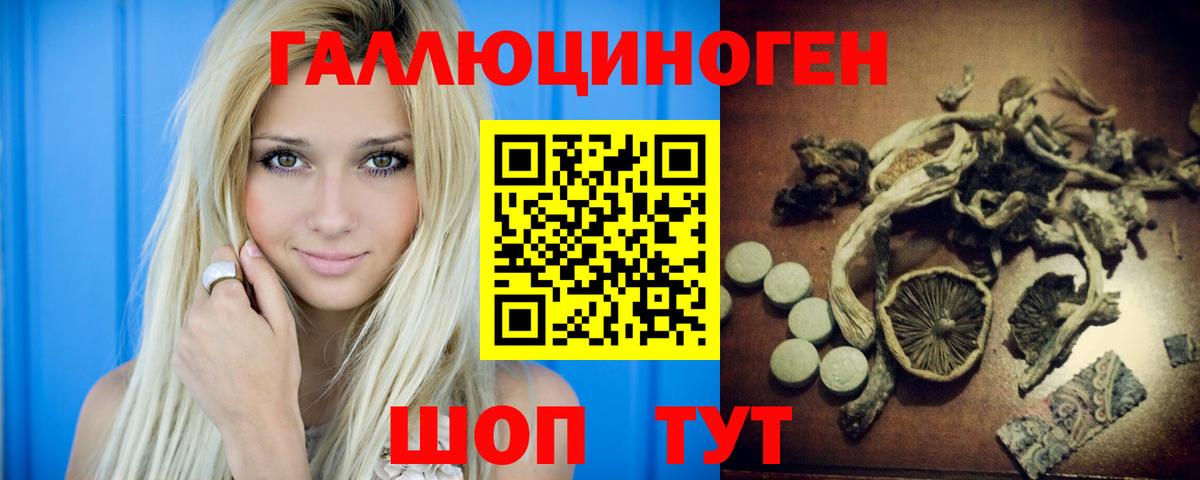 Псилоцибиновые грибы Psilocybe Калач-на-Дону