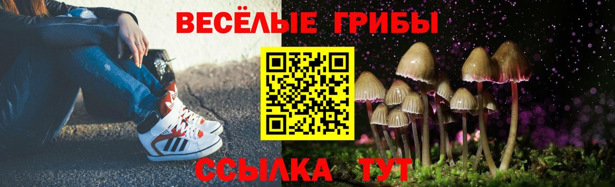 Галлюциногенные грибы GOLDEN TEACHER  хочу   Калач-на-Дону  Псилоцибиновые грибы ЛСД  Вход с VPN 